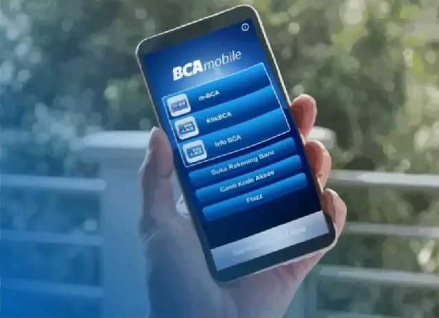 Mobile Banking BCA Error